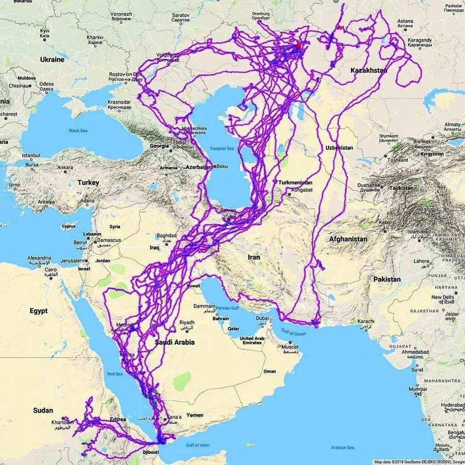 مسیر مهاجرت پاییزه بیست عقاب صحرایی