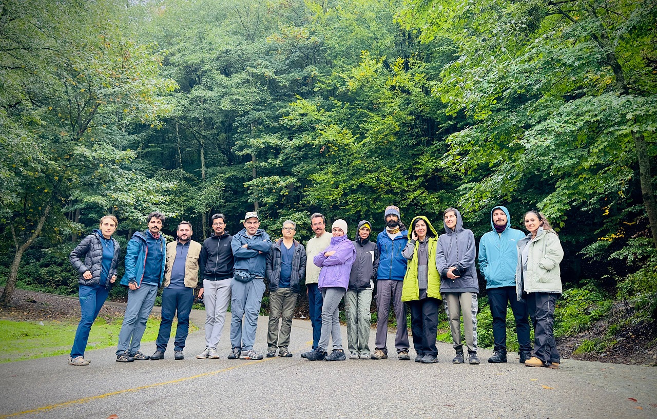 Team Forest2